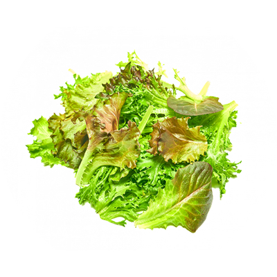 Pure Harvest - Baby Mix Lettuce 1kg